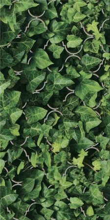 Paradyz Uniwersalne Inserto Szklane Dream