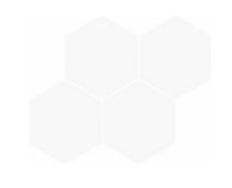 Valore Hexagon White Glossy 21x26