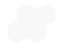 Valore Hexagon White Glossy 21x26