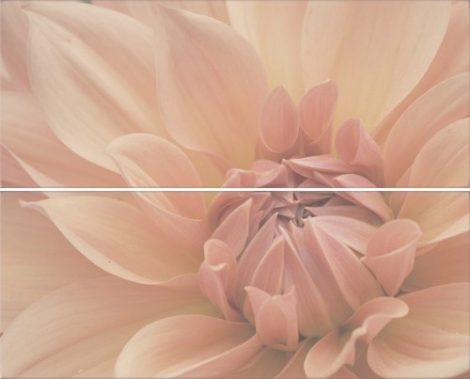 Zalakerámia Elegance Dahlia F-53021 Dekor Szett