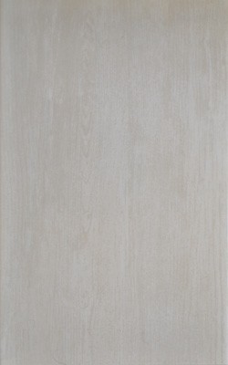 Zalakerámia ZBK-681 Woodshine Bianco 25x40