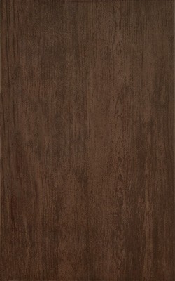 Zalakerámia ZBK-683 Woodshine Noce 25x40